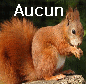 Pas de nouveaux messages