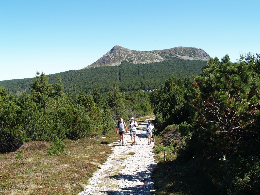 Image: p9010099_rt-324d3e.jpg