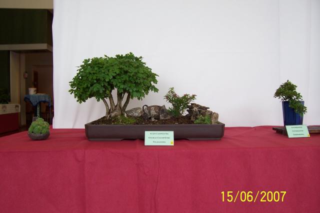 Image: 100_6933-420afa.jpg