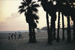 http://img28.xooimage.com/files/0/e/5/plage-d9fa2f.jpg