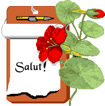 salut-bises-journee-tableau-fleur-flora