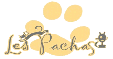 Association Les Pachas Forum Index