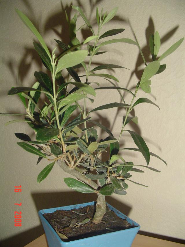 Image: dsc01891-4e4192.jpg
