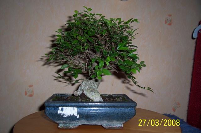 Image: 100_6412-3860ea.jpg