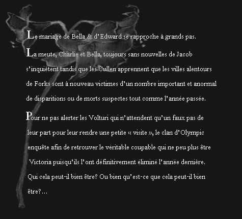 Image: sans-titre-5-149988f.png