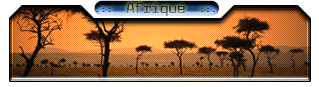 Afrique