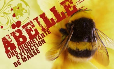 Disparation d'abeille inexplicable Disparition-des-a...-en-masse-4d6ee6