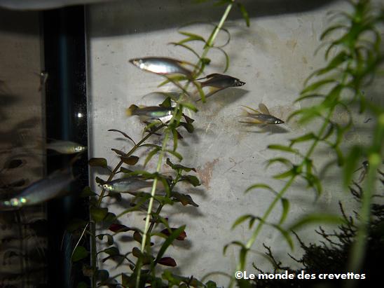 Image: 20091101_31-14d51b3.jpg