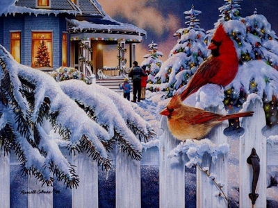 paysage-enneigés-maison-oiseaux-river