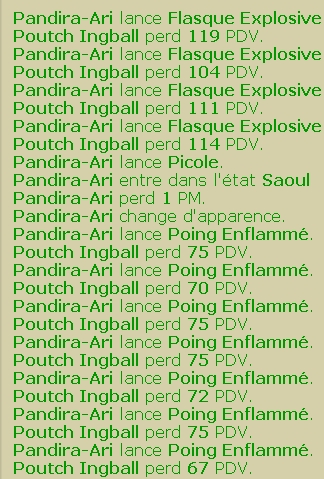 Pandira-Ari pandalette Eau/feu chasseuse lvl 107 Mineur-flasque-poing-crop-159a3a5