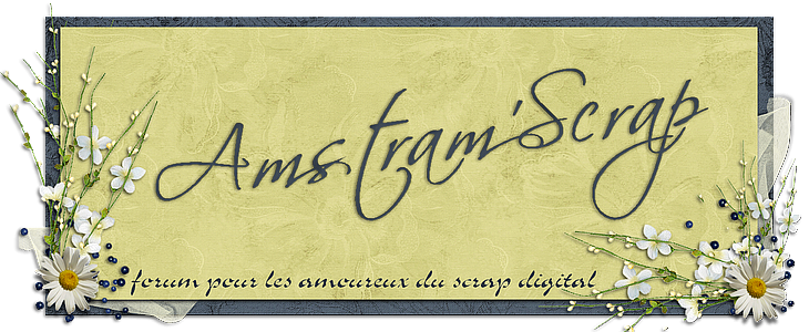 Amstram'Scrap