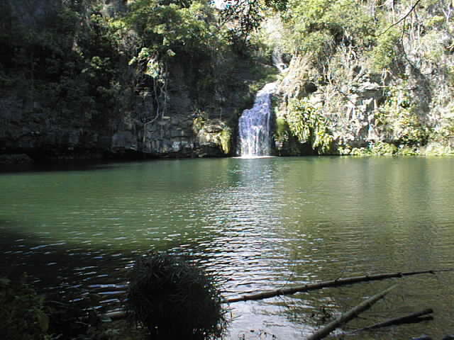 Image: cormoran2-331168.jpg