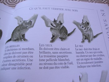 Autres conseils avant de choisir sont chat Livre-004-1095647