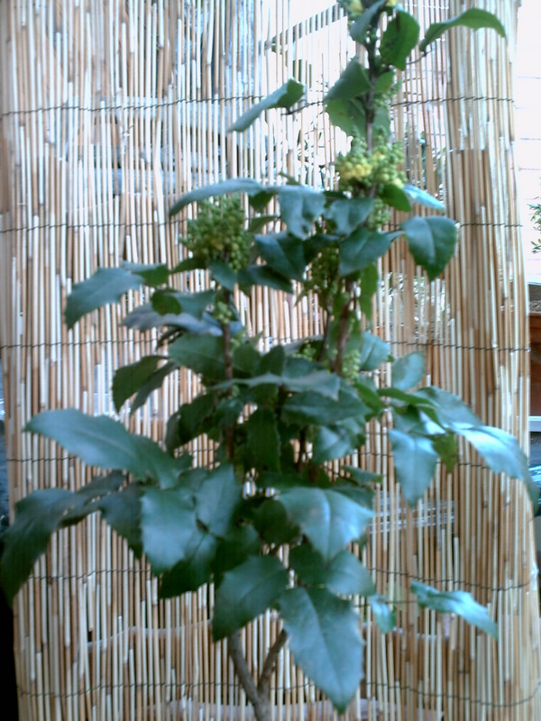 Image: pict0002-1-416d5d.jpg