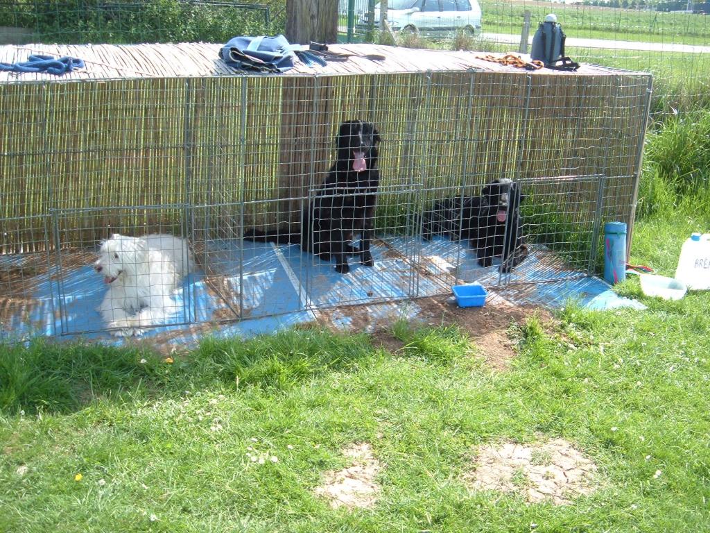Image: en-cage-33409b.jpg