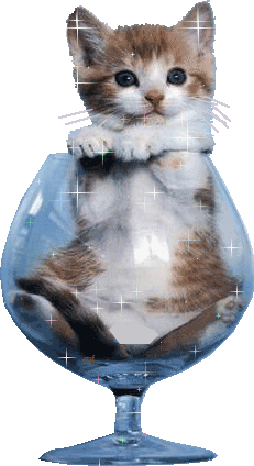 http://img28.xooimage.com/files/7/4/e/6vufcqqh-3bc1bd.gif